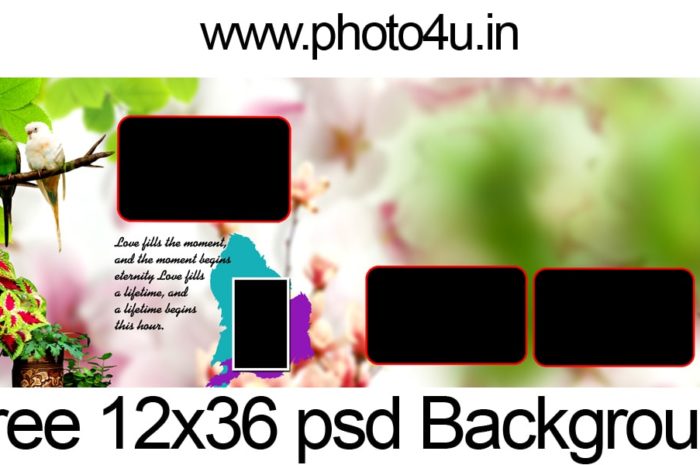 wedding album design 2020 12×36 psd background Download #35