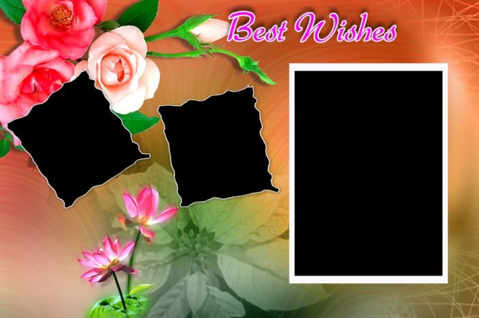 Free Letest Wedding 8×12 album Template 2021 4